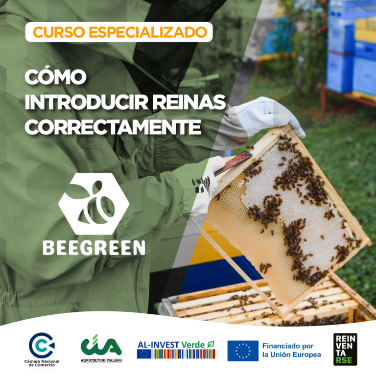 CNC BEE GREEN CURSOS-02