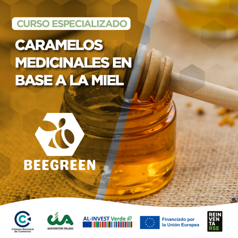 CNC BEE GREEN CURSOS-03