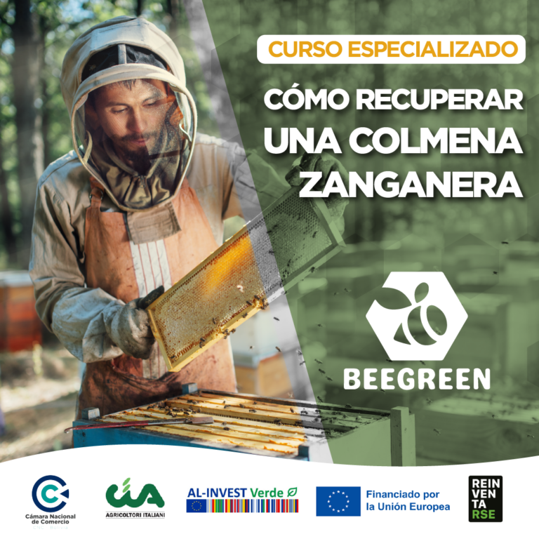 CNC BEE GREEN CURSOS_Mesa de trabajo 1